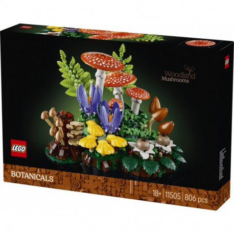 Klotsid botanicals 11505 metsaseened