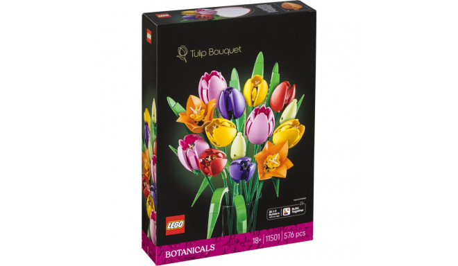 Botanicals tulpide kimp 11501