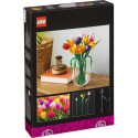 Botanicals tulpide kimp 11501