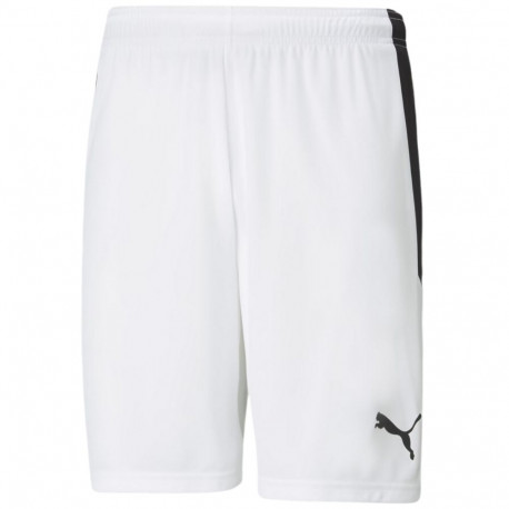 Puma meeste lühikesed püksid teamLIGA 704924 04, valged