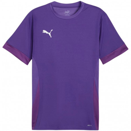 Puma meeste särk teamGoal Matchday Jersey 705747 10, lilla