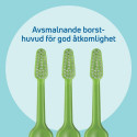 Hambahari Tepe Compact Soft Heleroosa