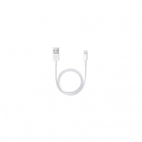 Apple Lightning to USB Cable 0.5M ME291ZM/A