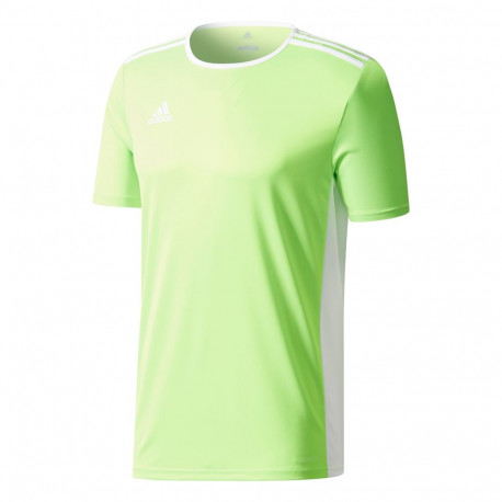 adidas laste särk Entrada 18 CE9755, laimiroheline