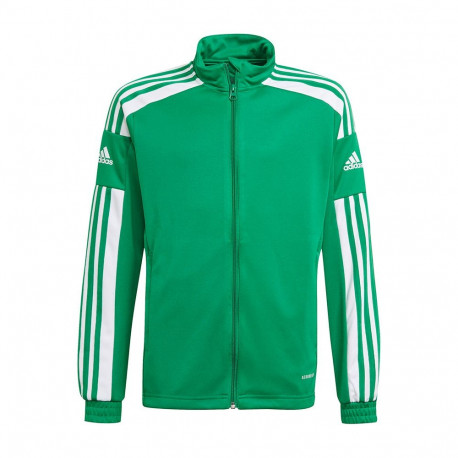 Adidas laste treeningpusa Squadra 21 Training Youth GP6456, roheline