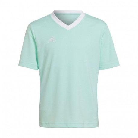 adidas laste särk Entrada 22 Jersey HC5078, mündiroheline