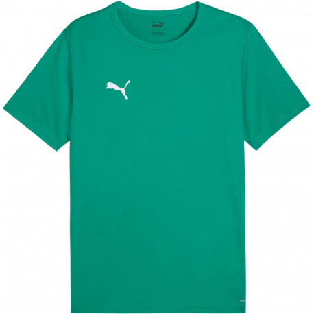 Puma meeste särk teamRISE Matchday Jersey 706132 05, roheline