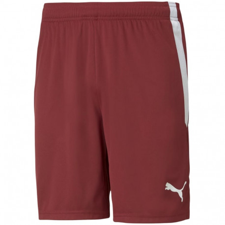 Puma meeste lühikesed püksid teamLIGA 704924 09, bordoopunane