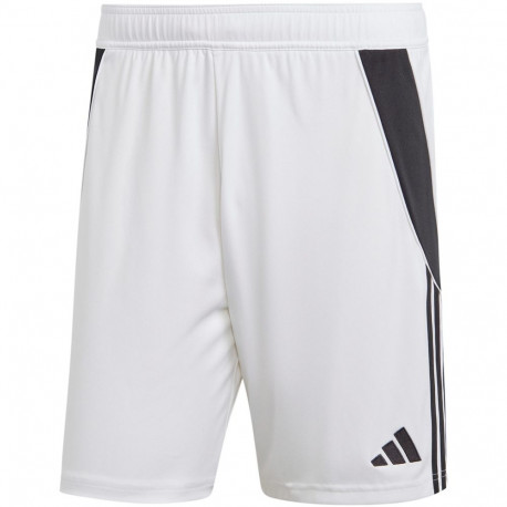 adidas meeste lühikesed püksid Tiro 24 IR9380, valged