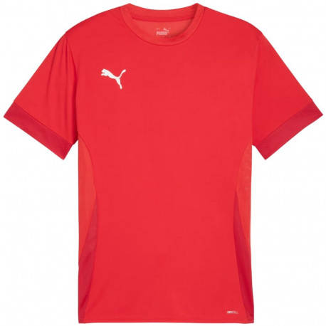 Puma meeste särk teamGoal Matchday Jersey 705747 01, punane