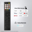 Hisense 43A6S