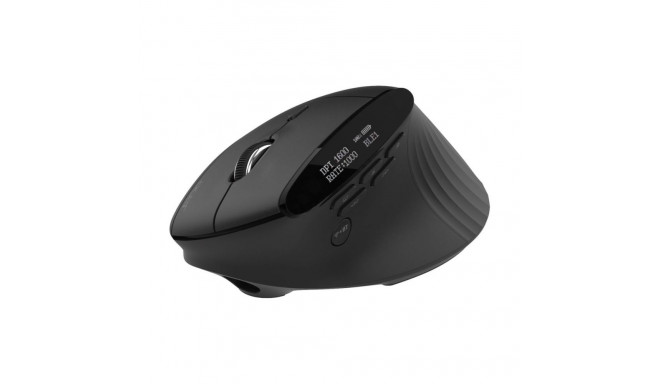 Acer Smart Fit Vertical Mouse, retail pack