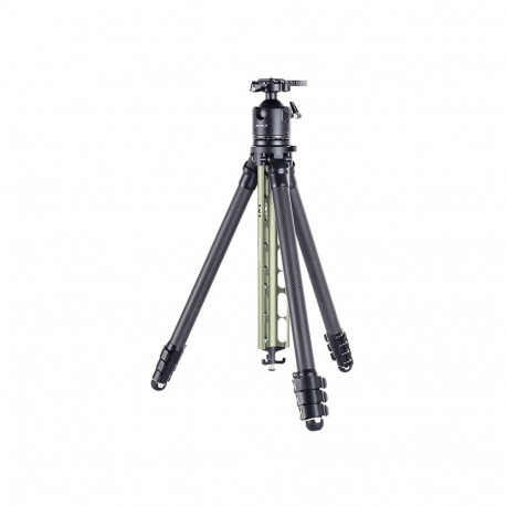 AOKA TS-254C Carbonstativ + DH-45 Kugelkopf, grün
