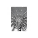 Westcott 7'/220cm Zilver Diffusion Parabolic