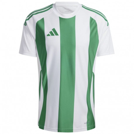 Adidas meeste särk Striped 24 Jersey IW2148, valge-roheline