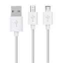 Rio USB Teeth Whitening