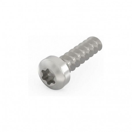 Schroff läätspeakruvi LIKOSCHR-TORX.2.5X9.3 Torx 100tk