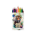 COLOUR PENCILS 18COL TIGER