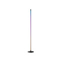 SWITCHBOT Floor Lamp RGBICWW