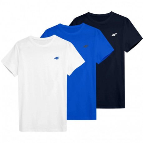 4F meeste t-särk M4479 4FWSS26TTSHM4479 90S 2XL, valge, sinine, tumesinine