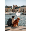 Samyang AF 60-180mm f/2.8 FE objektiiv Sonyle