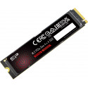 Silicon Power SSD 250GB UD90 M.2 2280 PCIe Gen 4x4 NVMe
