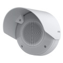 Axis D4200-VE 2-way