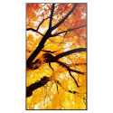 "Sharp MultiSync M982 Digital Signage Display 247,7 cm 98 Zoll"