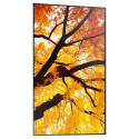 "Sharp MultiSync M982 Digital Signage Display 247,7 cm 98 Zoll"