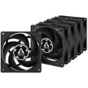 Arctic P8 Value Pack 80mm 5pcs Black
