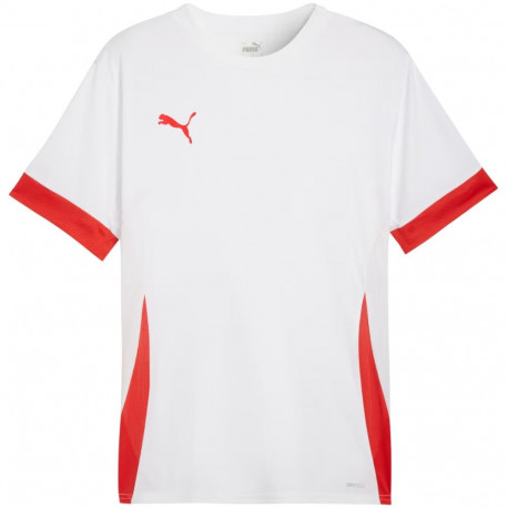 Puma meeste särk teamGoal Matchday Jersey 705747 11, valge-punane