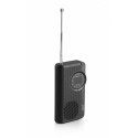 Radio RAE311B