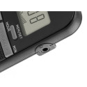 Radio RAE411B