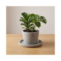 SAUCER CERAMIC PT.6700.022.PC D22 BROWN