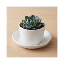 CERAMIC PLATE EMI D13 WHITE MATT