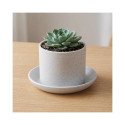 CERAMIC PLATE CHARMS D16 WHITE MATT