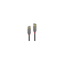 LINDY CABLE USB3.2 EXTENSION 3M/ANTHRA 36763