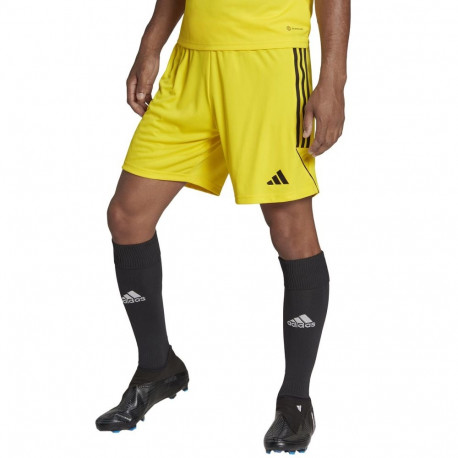 Adidas meeste lühikesed püksid Tiro 23 League IB8085, kollased