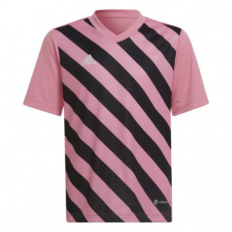 adidas laste spordisärk Entrada 22 Graphic Jersey HC2632, roosa-must