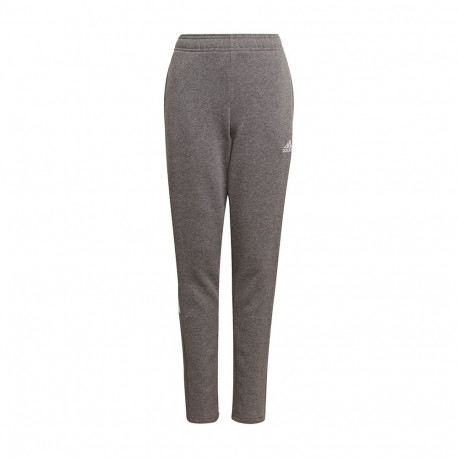 Adidas laste püksid Tiro 21 Sweat GP8809, hall