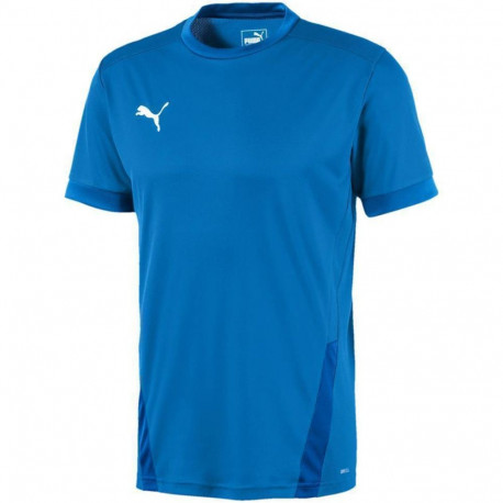 Puma meeste särk teamGOAL 23 Jersey 704171 02, sinine