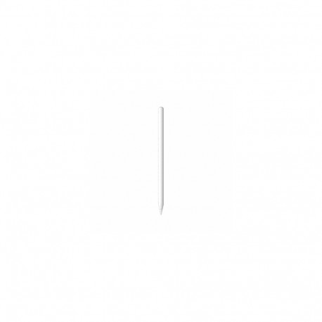 Apple Pencil MXN43ZM/A (2 gen)