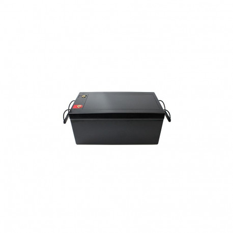 Battery Lithium Iron Phosphate LiFePO4 29.2V, 200Ah