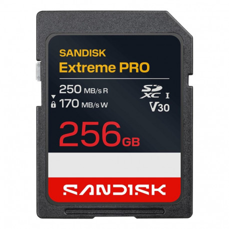 MEMORY SDXC 256GB UHS-1/SDSDXXJ-256G-GSCIN SANDISK SDSDXXJ-256G-GSCIN (619659224301)