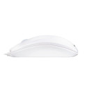 Mouse Cherry B2B Cable WheelMouse M-5400-0 white-grey