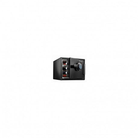 MASTER LOCK seif LFW082FTC terasest, must