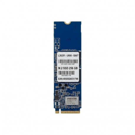 Sisemine SSD 256 GB M.2
