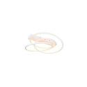LUMINAIRE CEILING LED 36W WHITE