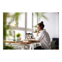 JABRA Evolve2 50 USB C/A UC Stereo