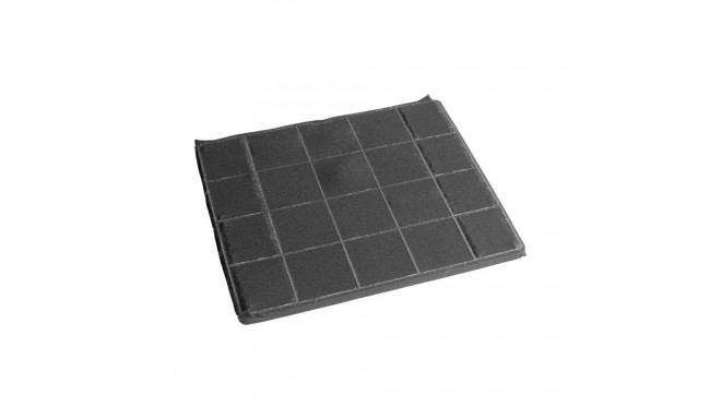 Electrolux ECFBPL02 Odor filter